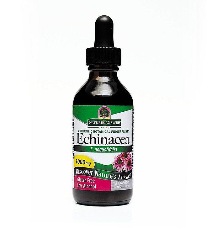 Nature's Answer Echinacea Root Low Alcohol 60ml 1407