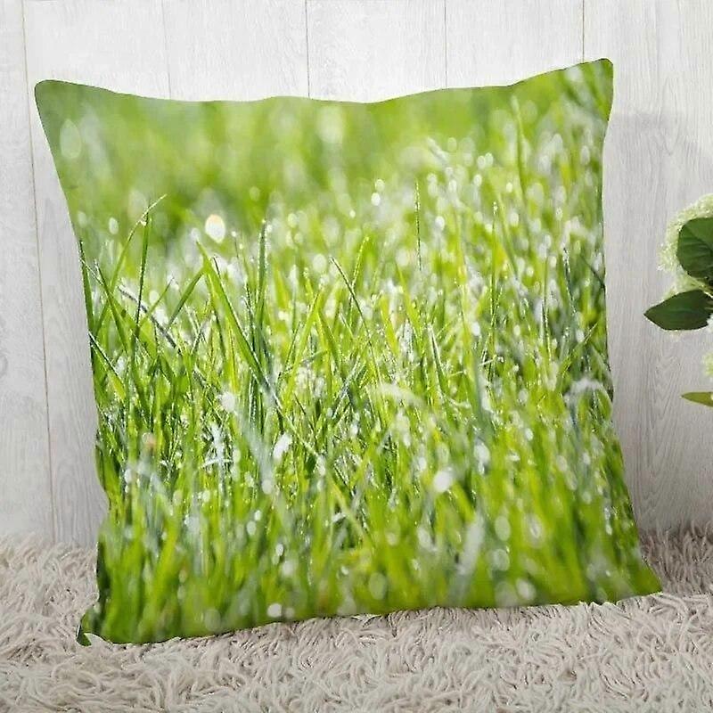 Print Pillowcase Sofa Cushion Cover Design Style -300