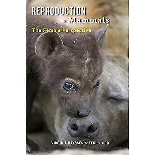 Fortpflanzung bei Säugetieren