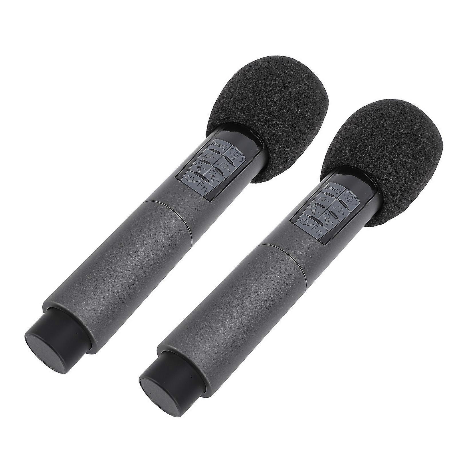 Wireless Dynamic Microphone with 2.4G Receiver 10 Channels Anti Interference Bluetooth Wireless Two Microphone System for Singing Wedding Party Speec