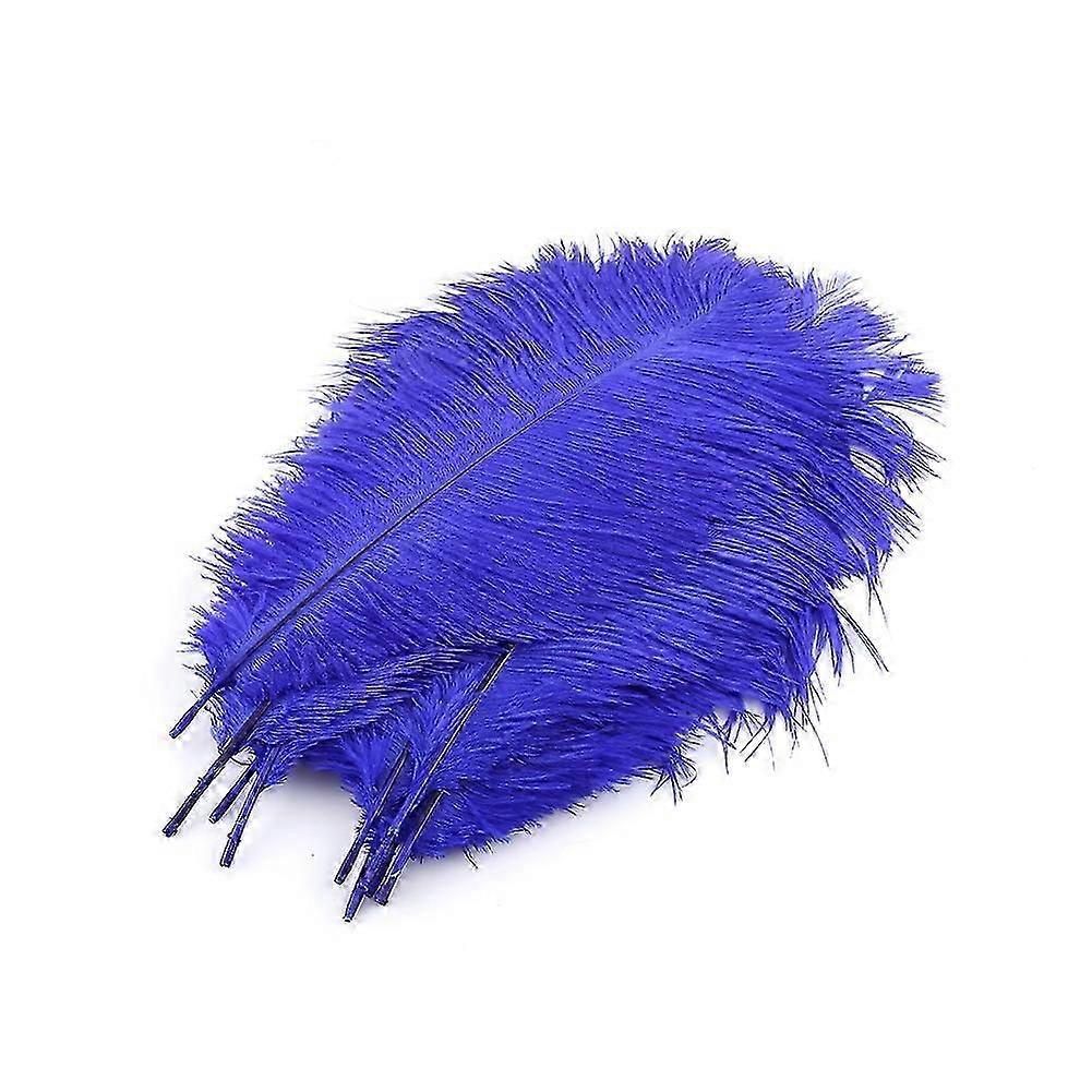 10pcs Natural Ostrich Feathers, Large Fluff, Blue