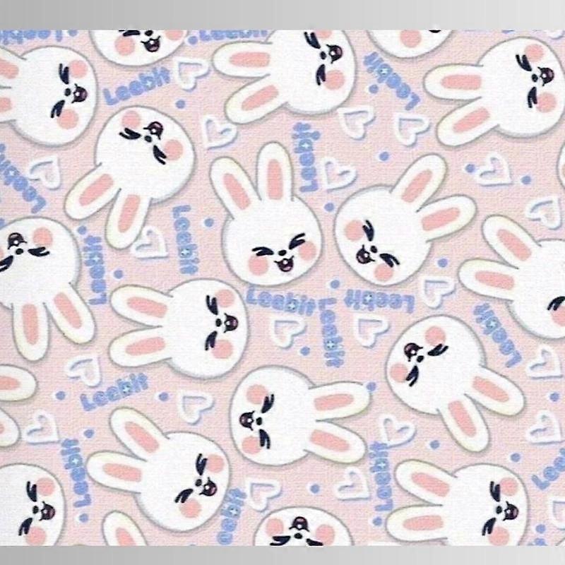 STAY SKKZOO Character Card Skins