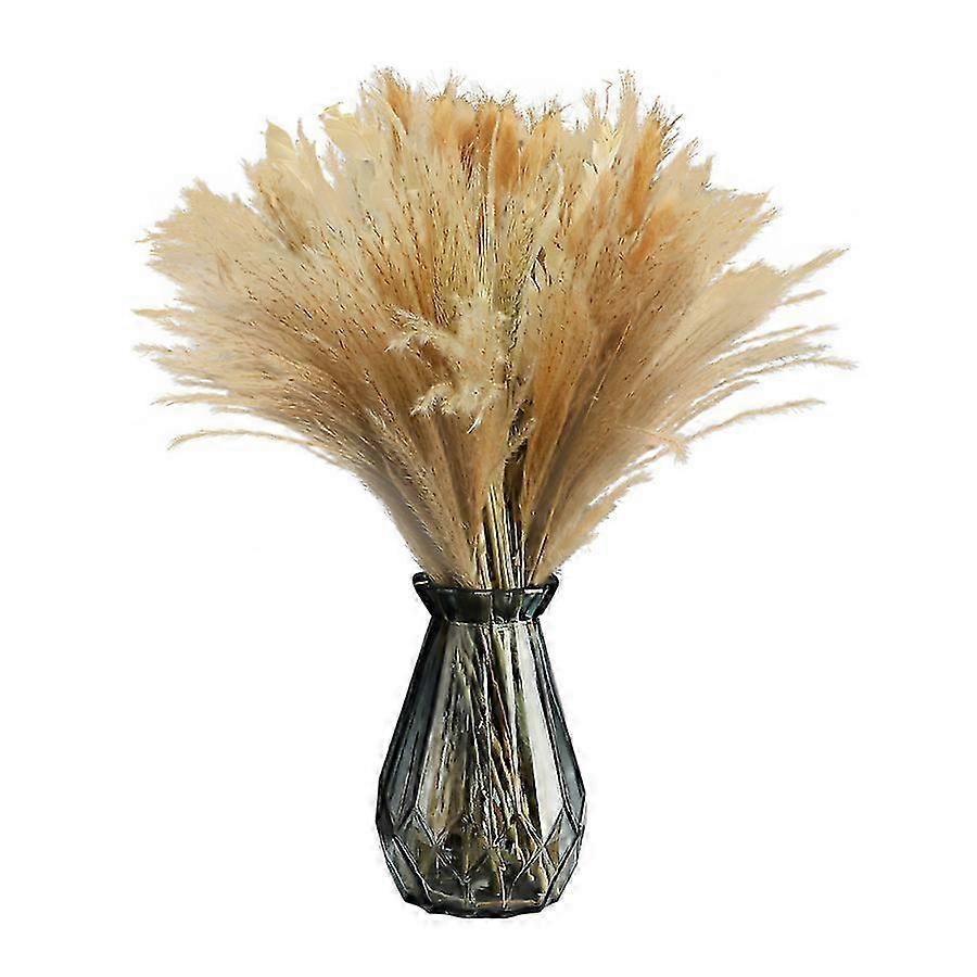 Multicolor Pampas Grass, 92 Stems, Home & Party Decor 26-27s