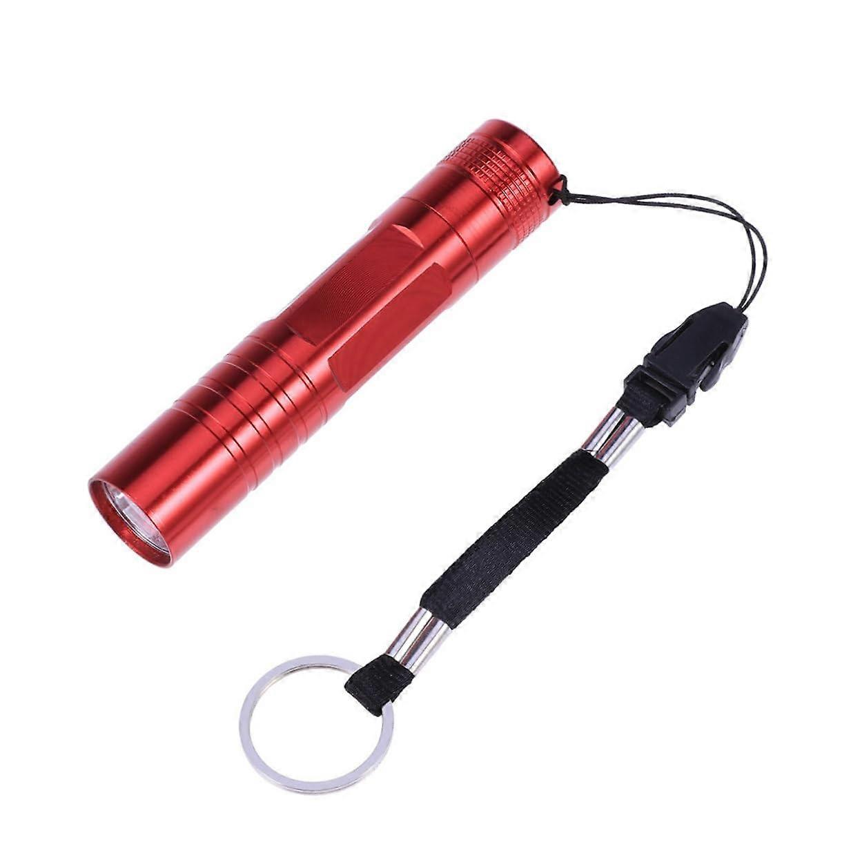LED Mini Flashlight  Lumens Pocket Torch for Camping and Emergency with Keyring