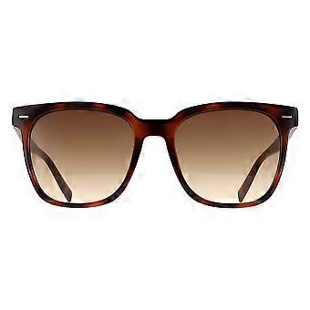 Calvin Klein Sunglasses CK20519SN 235 Havana Brown Gradient