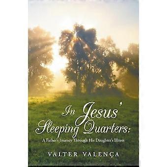 Nos aposentos de Jesus: A jornada de um pai através da doença de sua filha - Valter Valena - Livro de bolso - em inglês