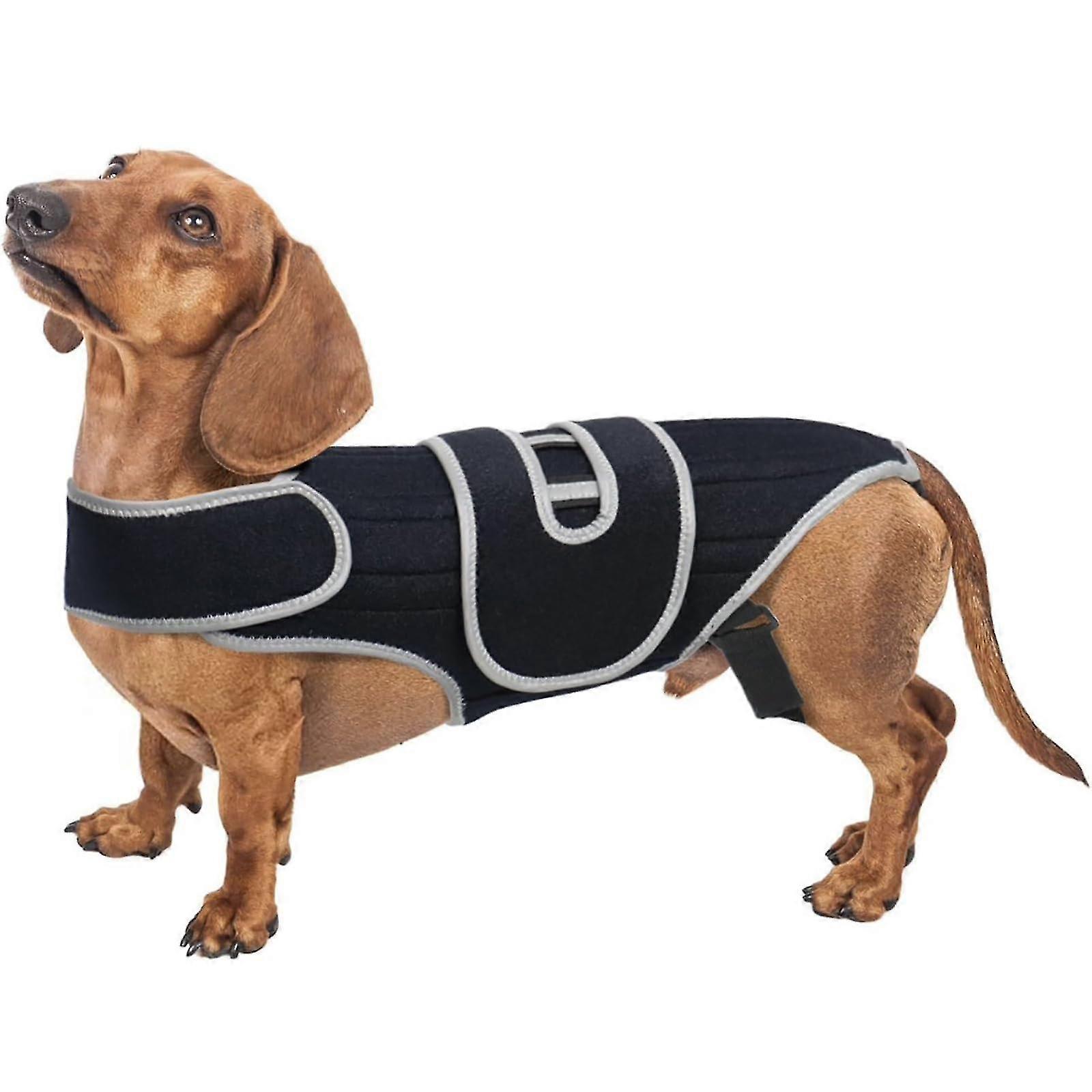 Spine-Stabilizing IVDD Support Harness