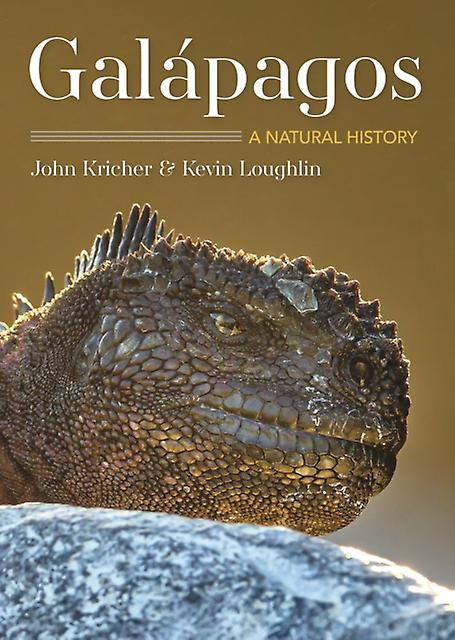 Galapagos by Kevin Loughlin Paperback