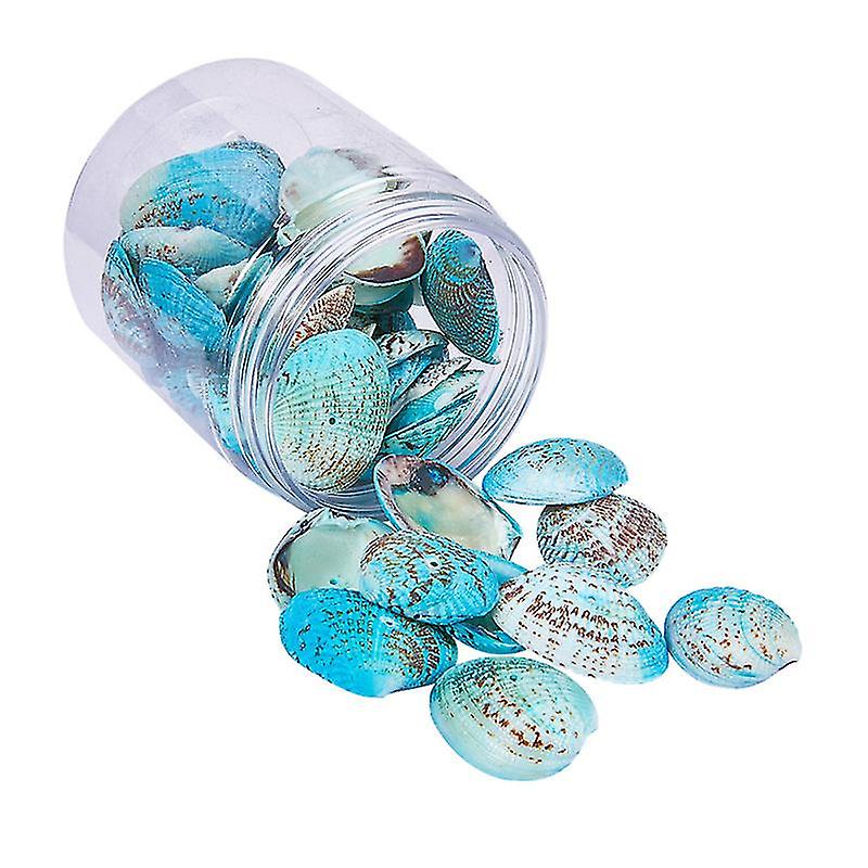 1pcs Money Shell Pendants
