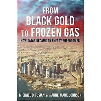 Do ouro negro ao gás congelado - Michael D. Tusiani