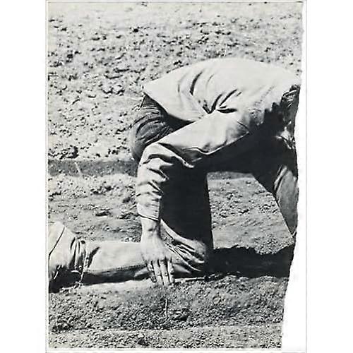 Summer Winter East West