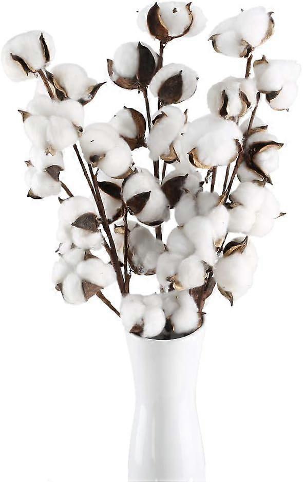 Hay Flowers, Handmade, Extra-Long Stems