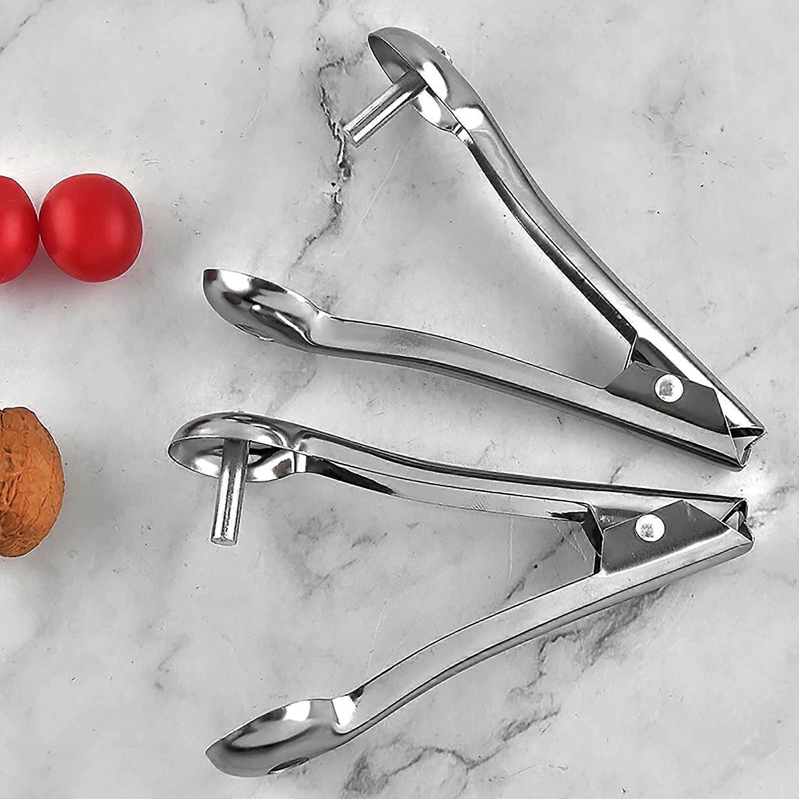 Stainless Steel Cherry Pitter and Fruit Corer Tool with Quick Pit Removal for Home Kitchen