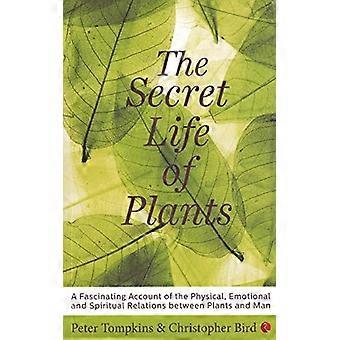 La vie secrète des plantes