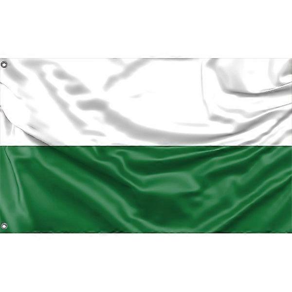 Saxony Germany Flag A2414