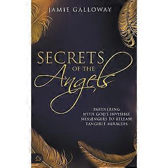 Secrets of the angels partnering with god's invisible messengers to release tangible miracles