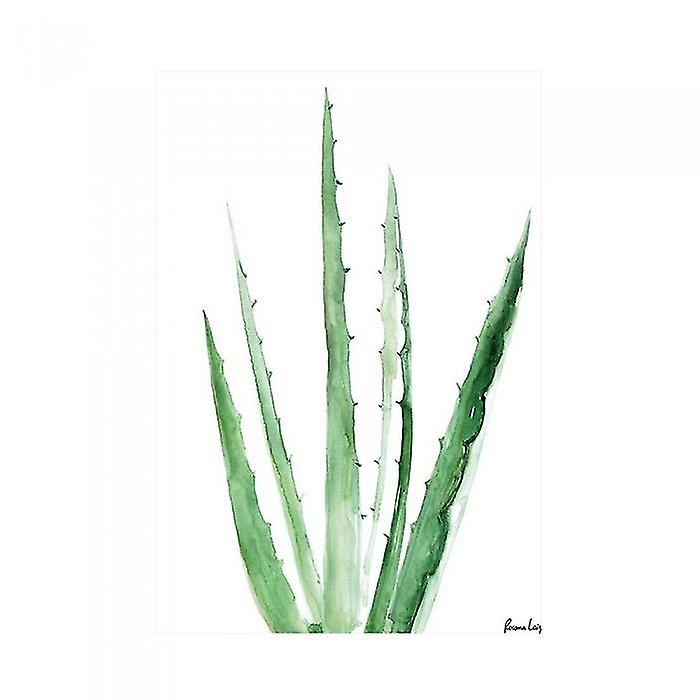 Rosana Laiz Aloe Vera Print