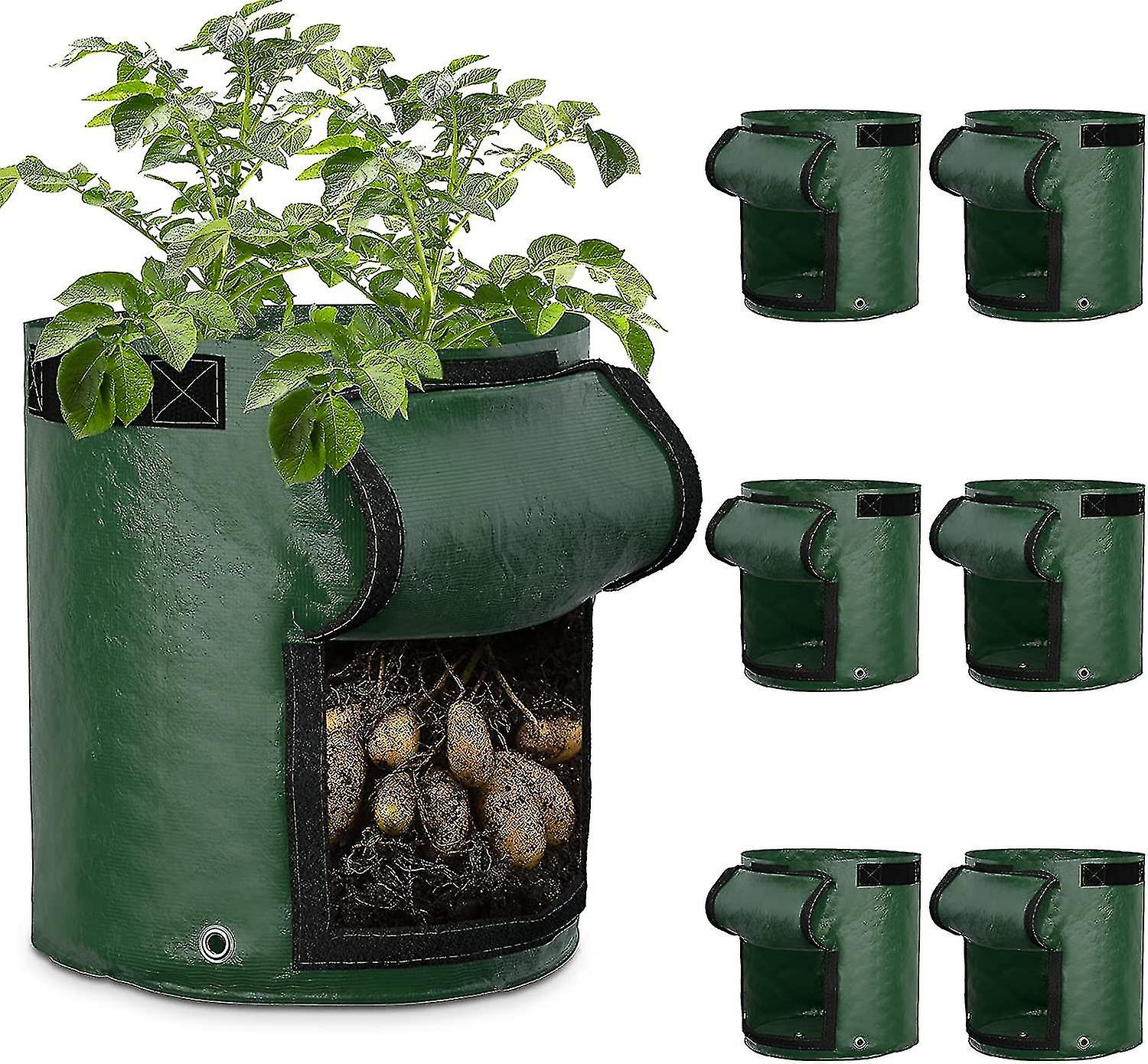 - أكياس Greatbuddy 10 جالون من البطاطس 6 عبوات ، أواني قماش PE سميكة متوافقة مع النباتات ، نوافذ حصاد مقابض قوية ، ملصقات متضمنة ، أخضر - 7