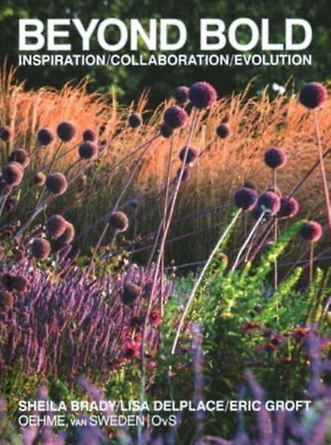 Beyond Bold Inspiration Collaboration Evolution by Tom Christopher Hardback Book