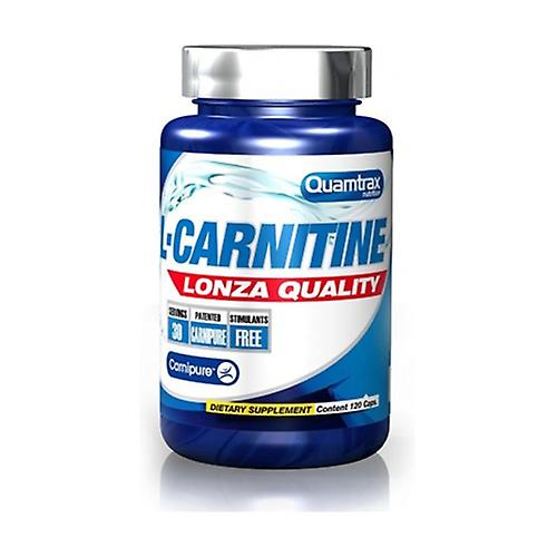 L-carnitine lonza quality 120 capsules