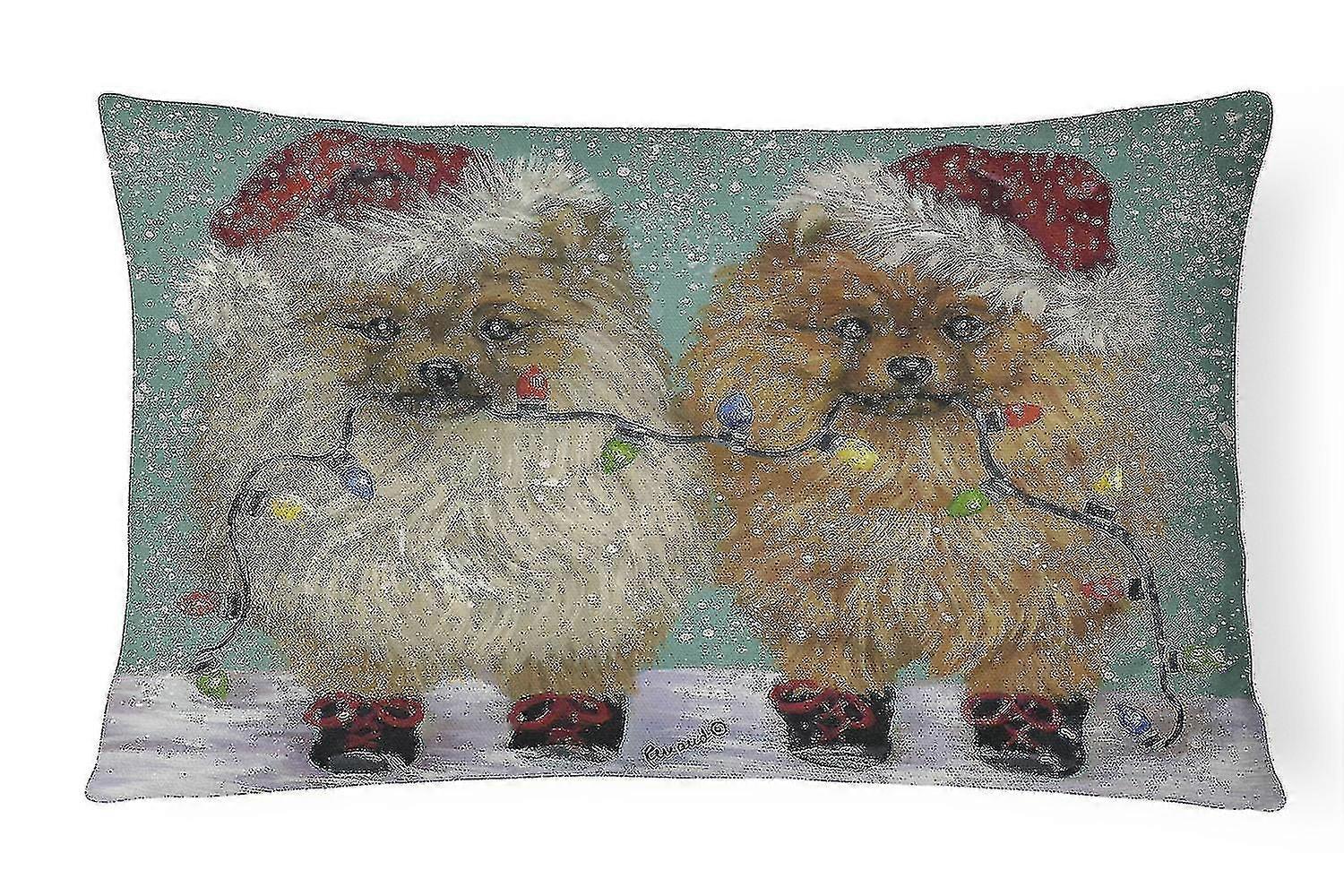 Pomeranian En Up Fa Rative