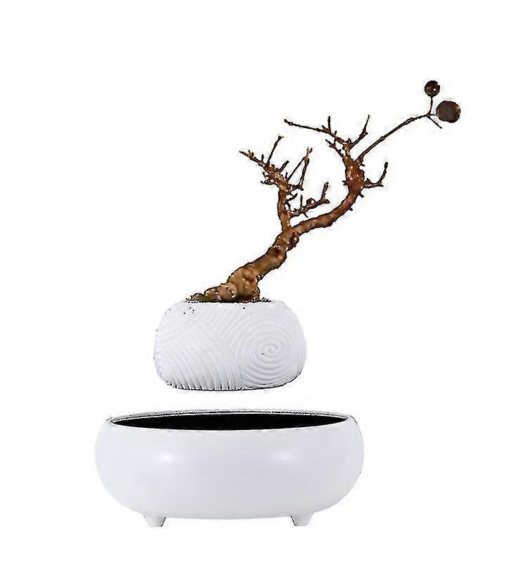 Vaso de flores flutuante Desaúdo De Ar