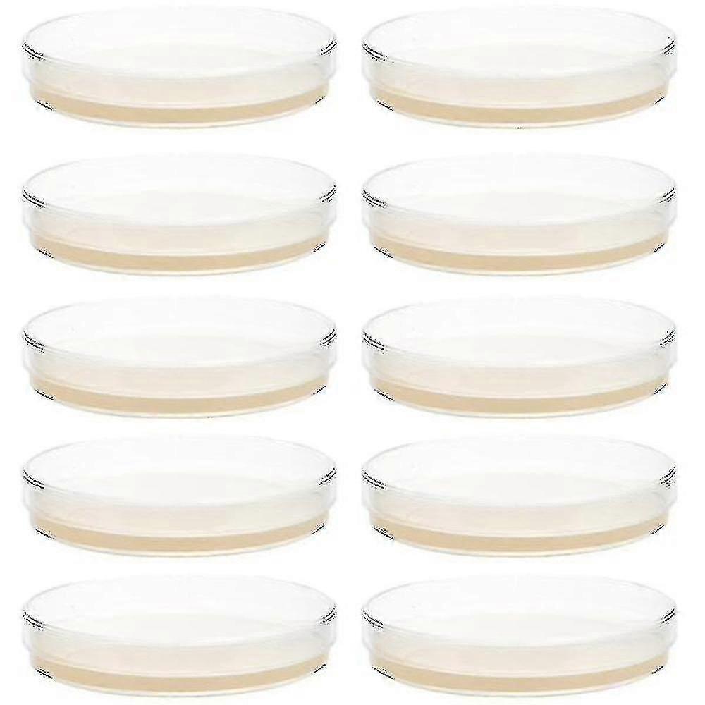 10 قطع أطباق أجار مصبوبة مسبقا أطباق بتري مع لوازم تجربة أجار العلمية