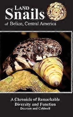 Land Snails of Belize Central America