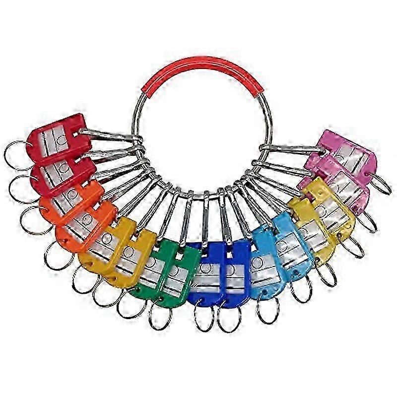 Portable Metal Ring Key Organizer with 16 Spring Hooks & Key Tags with Ring and Label Window
