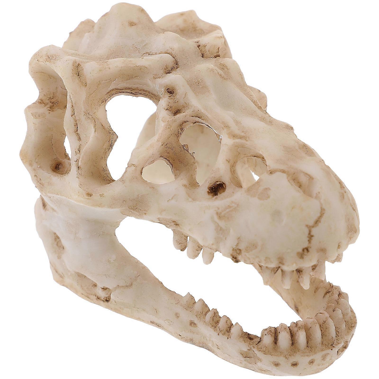Dinosaur Skull Resin Model for Decoration 2Pcs Realistic Mini Display