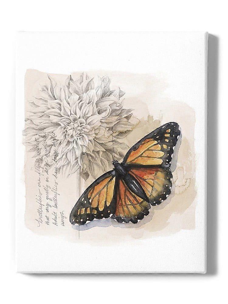 Shadow Box Butterfly Wrapped Canvas  -Grace Popp Designs,-ouyac152