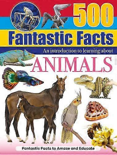 Animals - North Parade Publishing