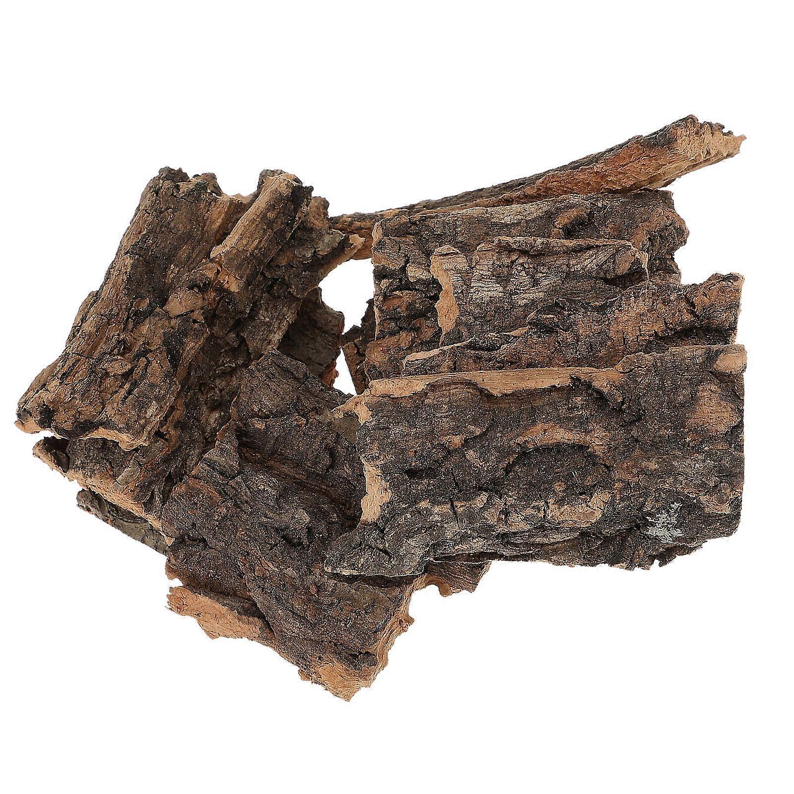 10 قطع الزواحف شجرة اللحاء سحلية تسلق شجرة اللحاء الزواحف تشمس منصة الزواحف منصة الزواحف