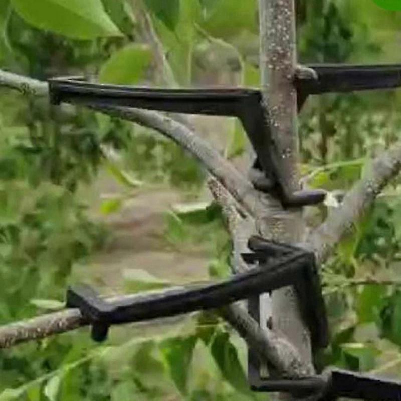 10Pcs Fruit Tree Branches Holder Fruit Branch Spreader Tree Branch Support Frame