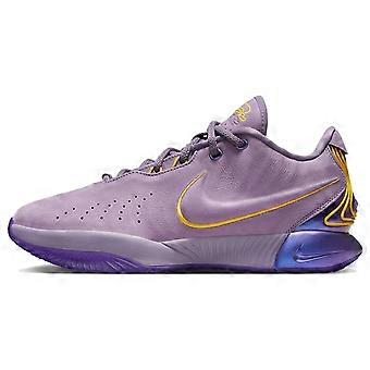 Nike LeBron 21 "Purple Rain" FV2345-500