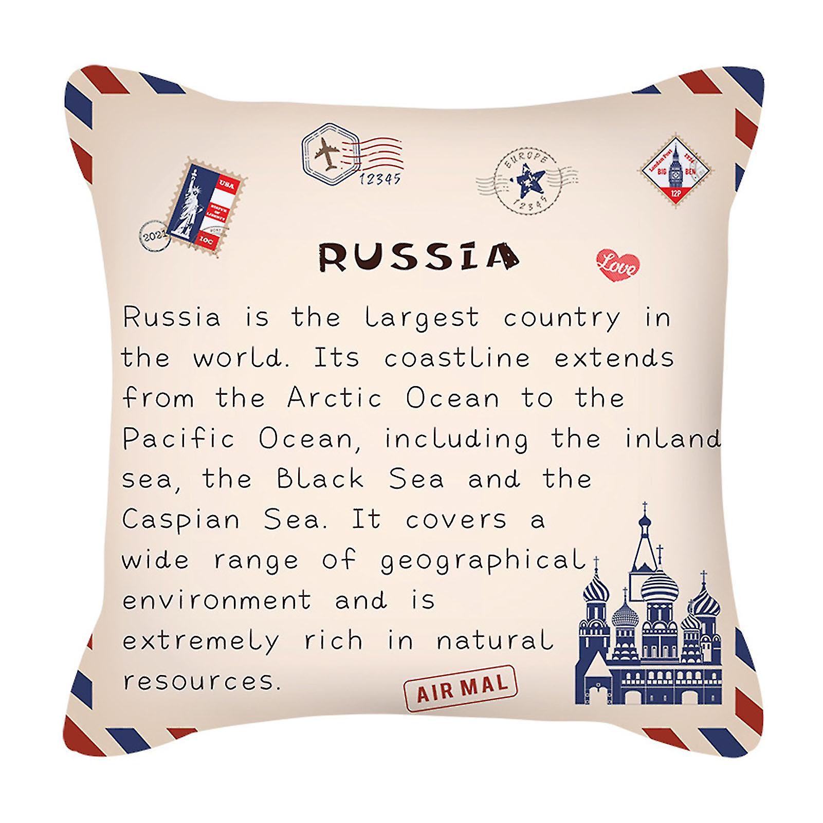 Skin Plush Throw Pillow Cover For Home Decoration With Delicate Print