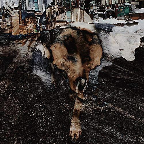 Volk Joe & Naiare - Primitive Energetics [VINYL] (ヴォルク・ジョー & ナイアレ - 原始的なエネルギー学 [レコード])