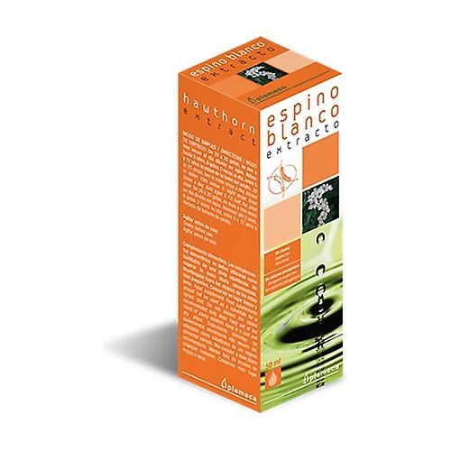 White Hawthorn Extract 50 ml of essential oil