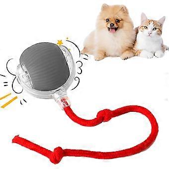 Interactive rolling dog ball, rolling ball, interactive...