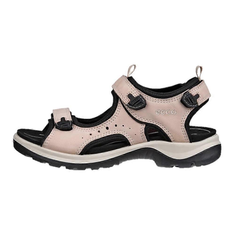 Shoes Ecco 82204302118