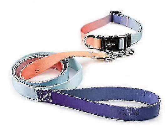 Adjustable Dog Collar & Leash Set for Training, Walking, Running - Red Blue