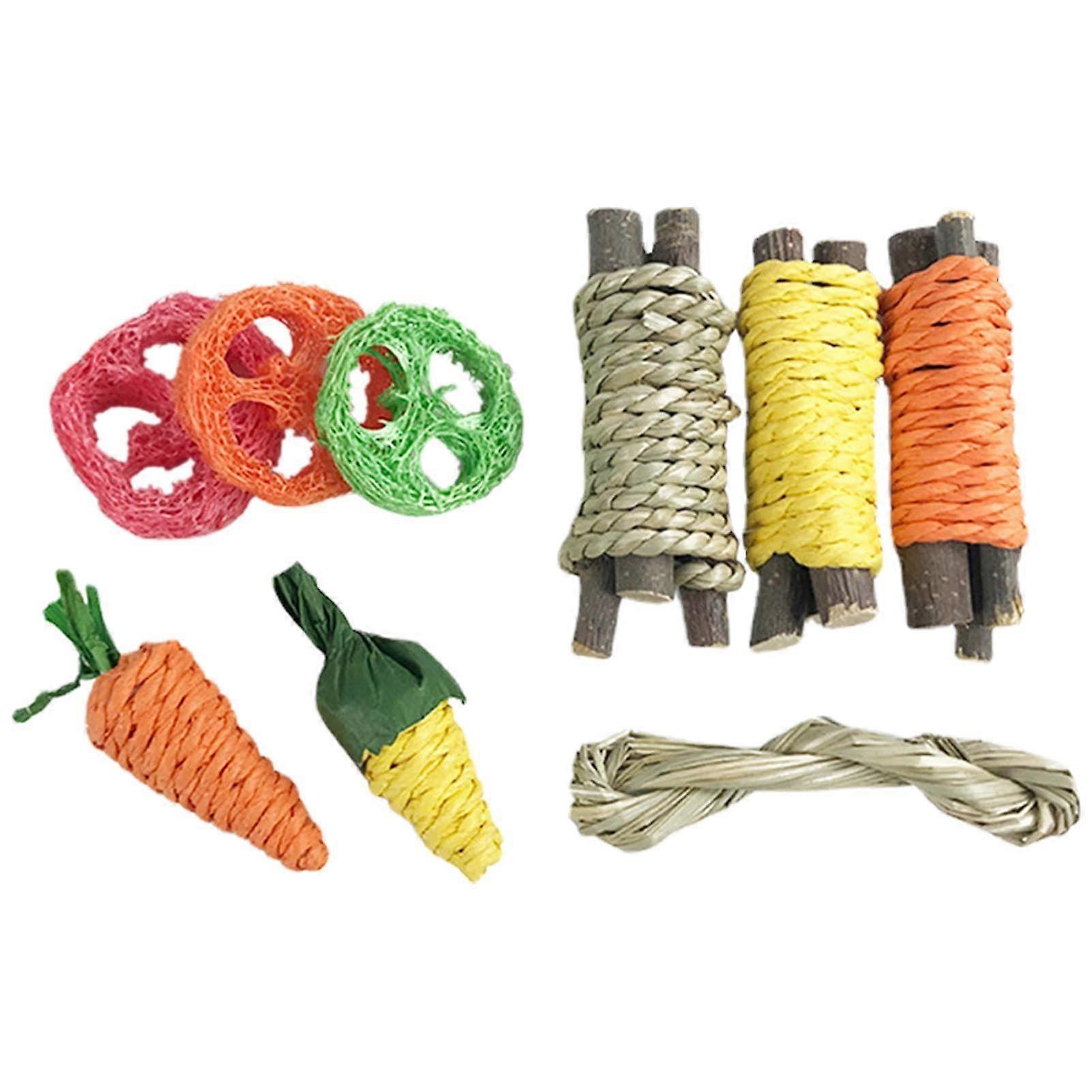 Rabbit Chew Toys for Teeth Small Pet Teeth Grinding 9 Pieces