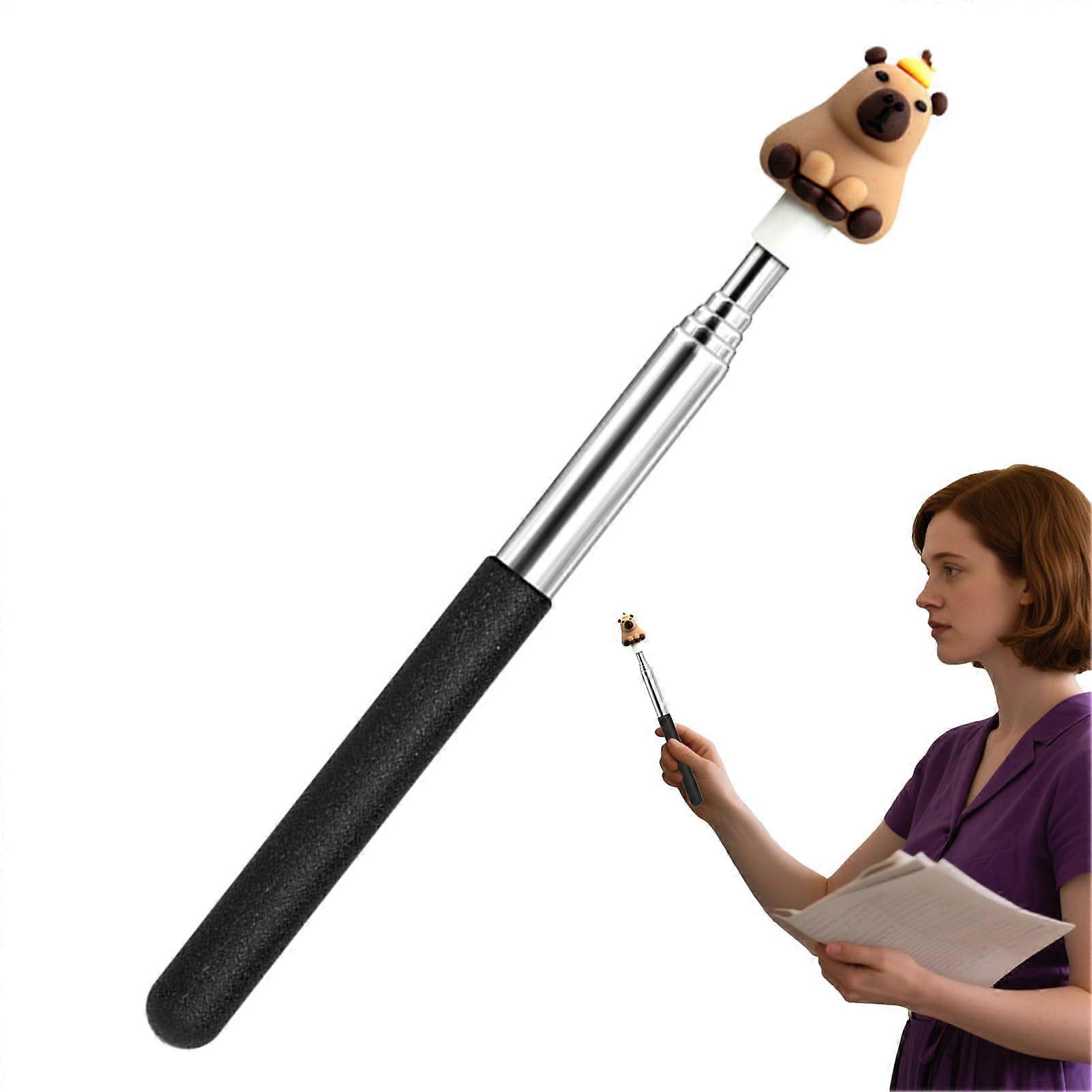 Extendable Teacher Pointer, Retractable Pointer Stick, Lightweight Teaching Tool for Elementary School Presentations  Distance Learning Kapibala
