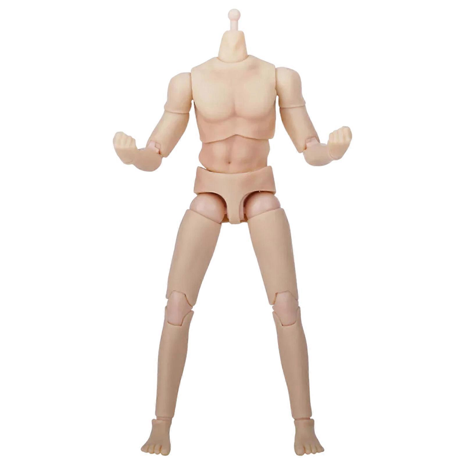 6Inch Realistic Muscle Body Model Figure With Flexible Joints 1/12 Scale Action Figure Male Body For Dynamic Posing YS