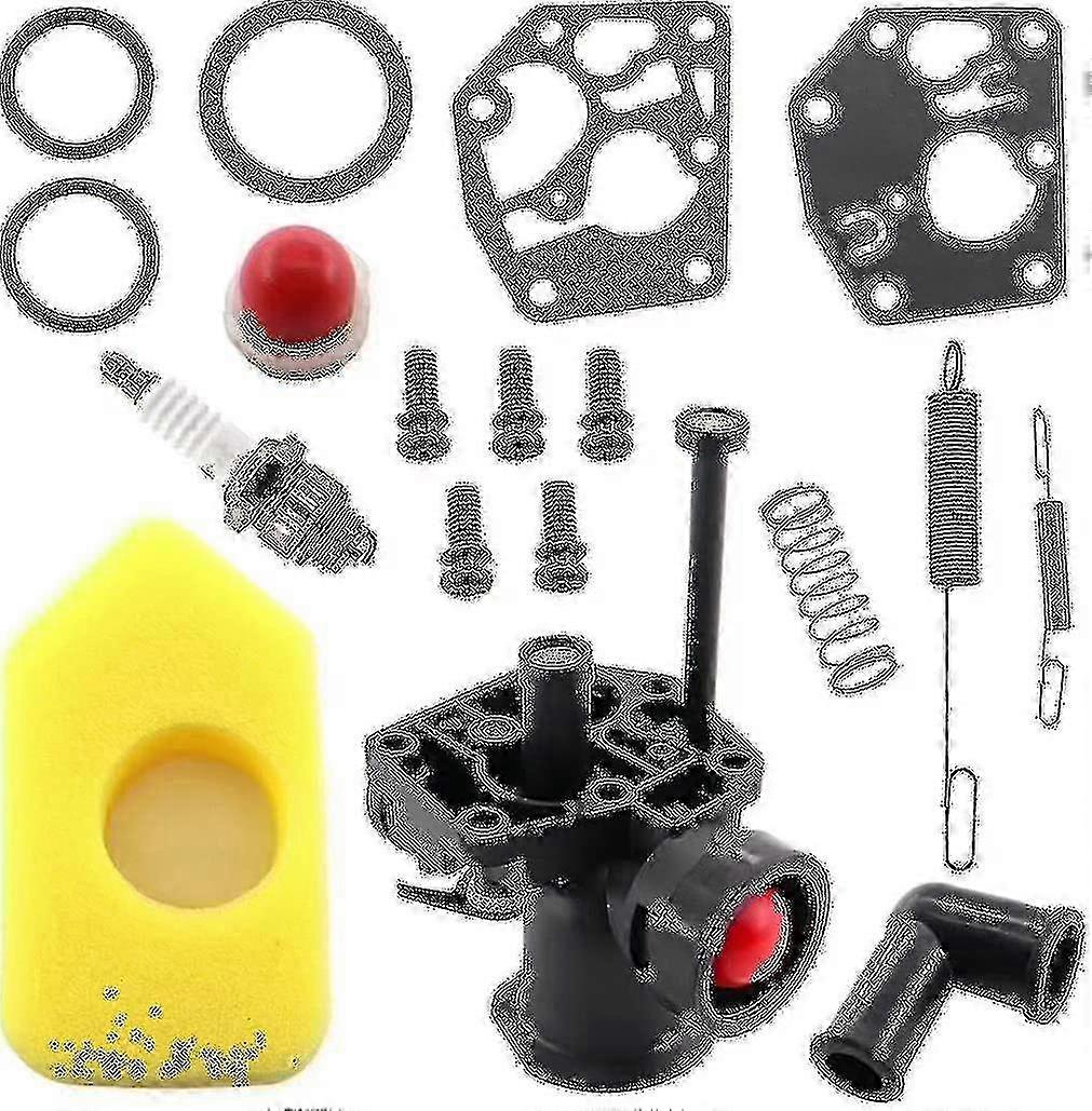 Drivstoffsystem for gressklipper til Briggs Stratton 691859 795083
