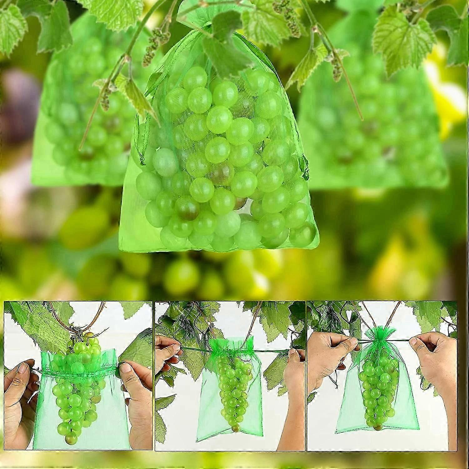 100 Count Fruit Protection Bags, Drawstring Organza Bags for Grapes, Reusable Mesh Netting for Garden and Harvest Use