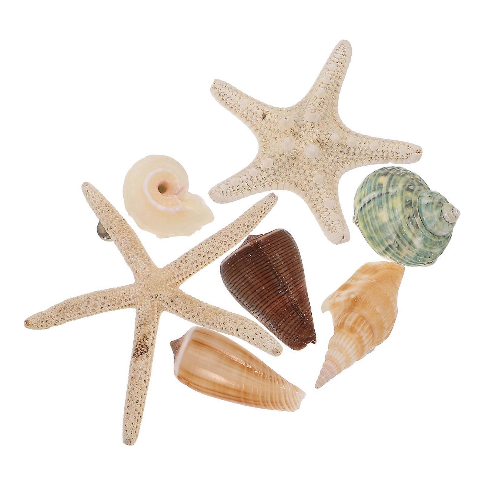 Magnet Sticker Fridge Stickers Seashell Conch Shape Patches Magnetic Fixing Home Decor Assorted Color 7Pcs
