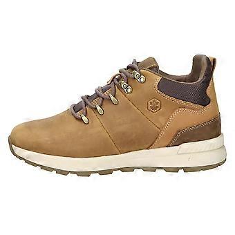 Stringata 102217235 sennep