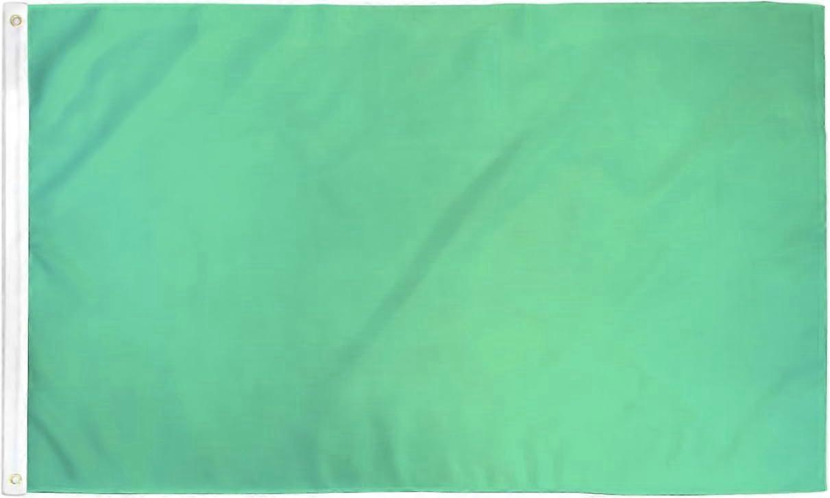 Mintgrüne, einfarbige Flagge rq 0009