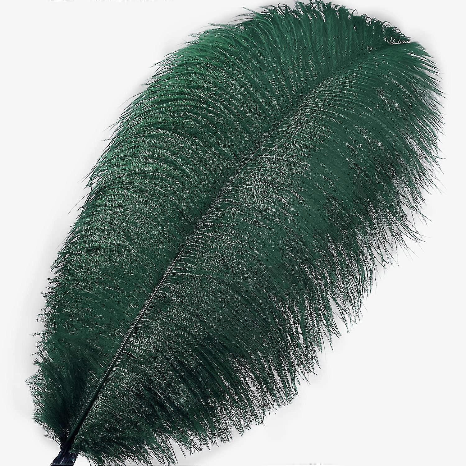 50pcs Ostrich Feathers For Decorations 26s